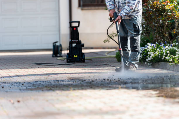 Best Specialty Cleaning in Stewartville, AL